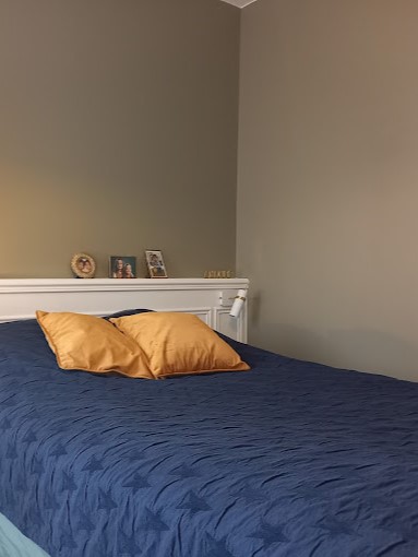Bizeul Agencement Cuisiniste Nantes TETE DE LIT 2 Copie